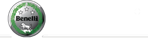BENELLI -Repair and maintanence information